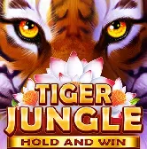 Tiger Jungle на Cosmolot